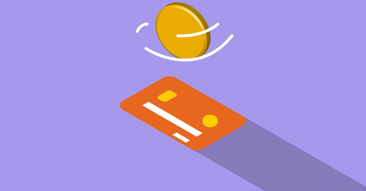 What is the meaning of debt management?